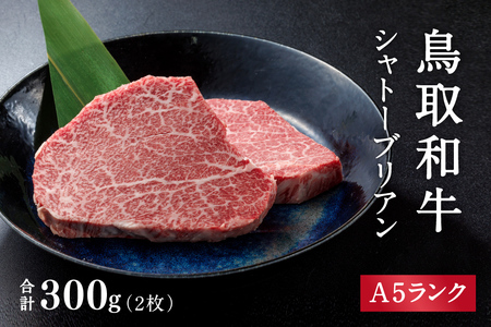 A5ランク 鳥取和牛シャトーブリアン 2枚 合計300g 牛肉 精肉 肉 カタセイ シャトーブリアン ヒレステーキ ヒレ ステーキ 肉 フィレステーキ ステーキ お肉 和牛 高級ヒレステーキ ヒレ肉 最高級 黒毛和牛 牛肉 お肉