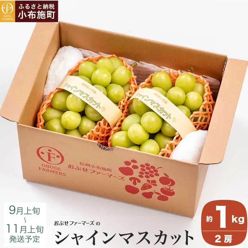 先行受付 シャインマスカット 約1kg 2房 ［おぶせファーマーズ］ 果物 フルーツ ぶどう 葡萄 数量限定 先行予約 長野 信州 令和8年産 【2026年9月上旬～11月上旬発送】[F-26]