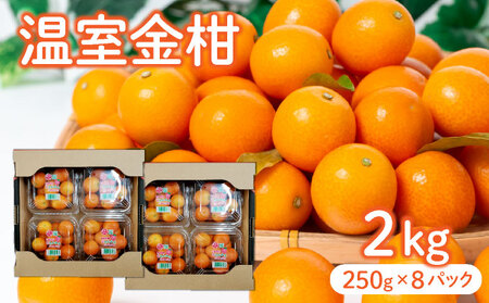 【先行予約】＜2026年発送＞温室金柑 1kg 2箱（250g×8パック）_K001-026