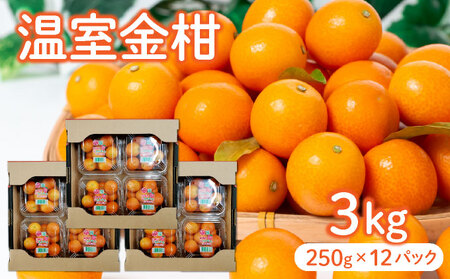 【先行予約】＜2026年発送＞温室金柑 1kg 3箱（250g×12パック）_K001-027