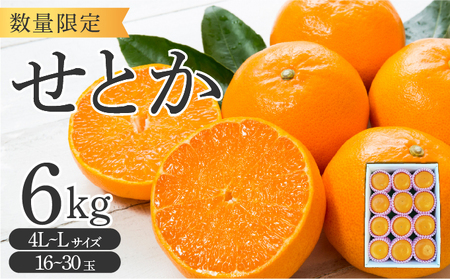 【先行予約】＜数量限定＞せとか6kg（16～30玉）化粧箱付き_K001-017