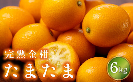 【先行予約】串間市産 完熟きんかん「たまたま」6kg（3kg×2箱）_K001-023