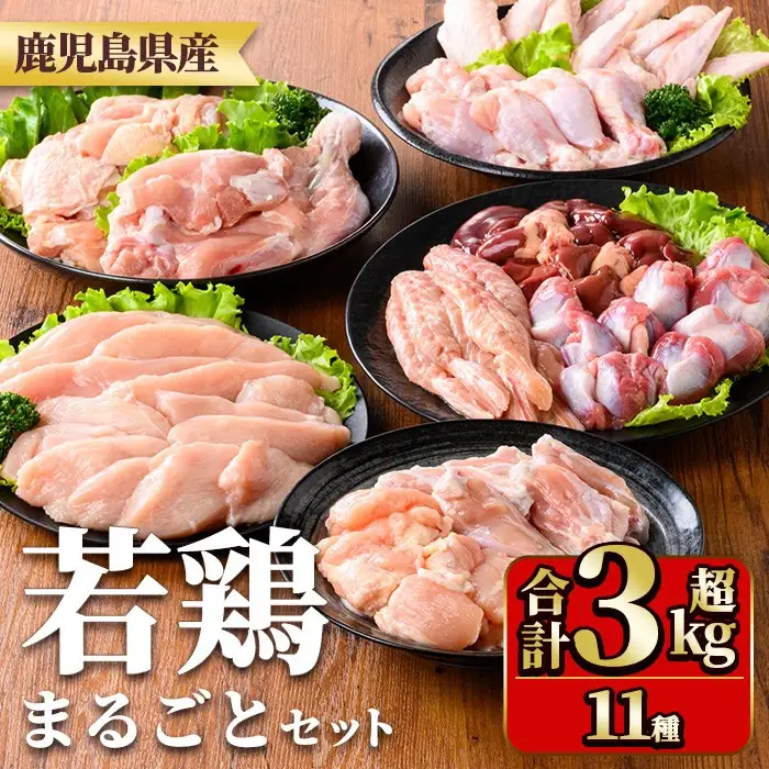 鹿児島県産若鶏まるごとセット(合計3.05kg) 国産 鶏肉 鳥肉 肉 若鶏 お肉 もも肉 モモ肉 むね肉 ムネ肉 胸肉 ささみ ササミ 筋なし 砂肝 肝 手羽先 キチンリブ 手羽元 肩肉 小肉 骨付きモモ セット 詰め合わせ 小分け 冷凍 真空パック 食べ比べ 【TRINITY】_y539