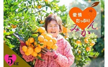 L127x1 愛情たっぷりたらみかん 5kg 温州 みかん ミカン 蜜柑 温州蜜柑 温州ミカン フルーツ くだもの 果物 ミネラル豊富 太良町 国産 贈答用 【2026年11月上旬-12月下旬発送予定】