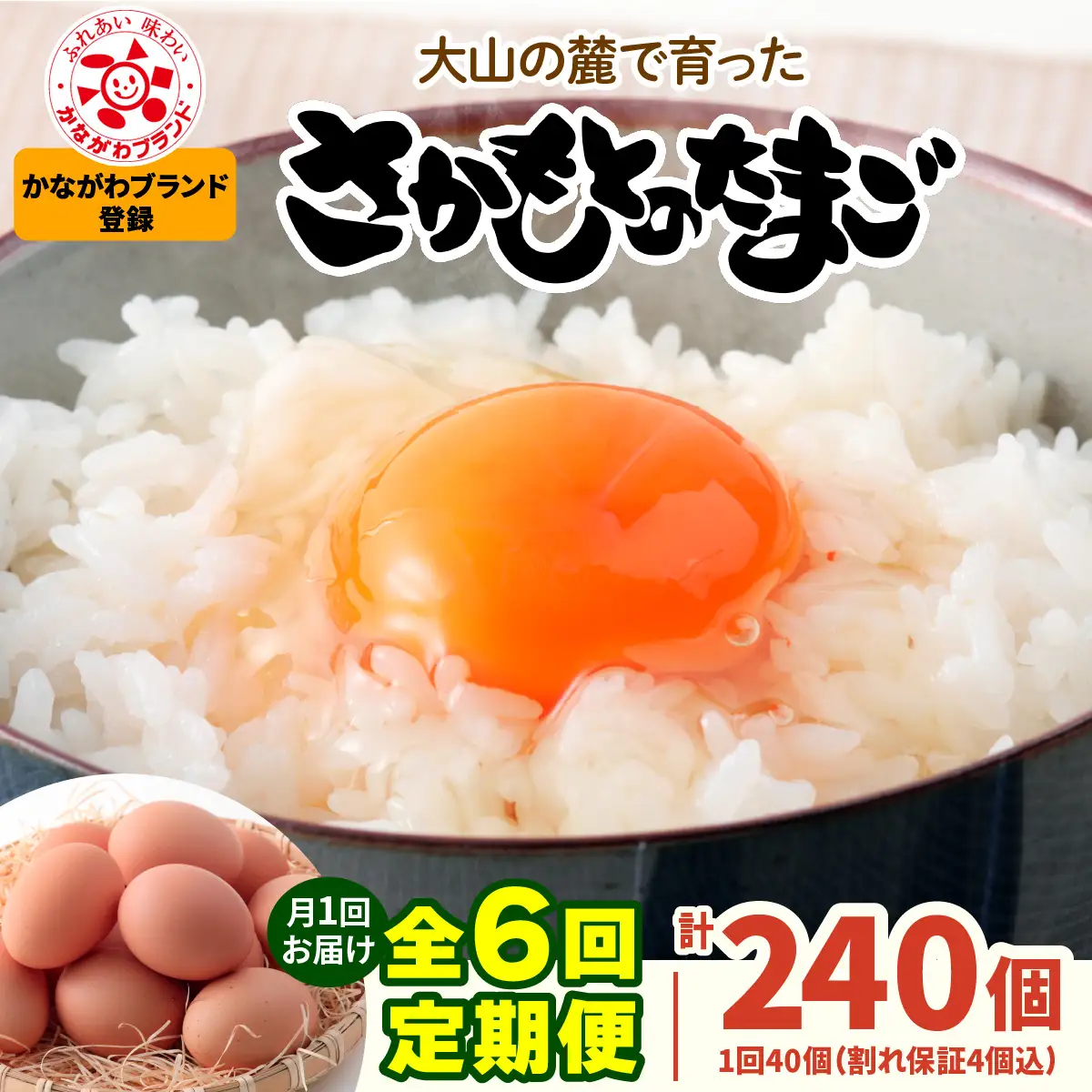 [定期便／6ヶ月×月1回] さかもとのたまご 40個 (36個＋割れ保証4個) 合計240個 [1131]