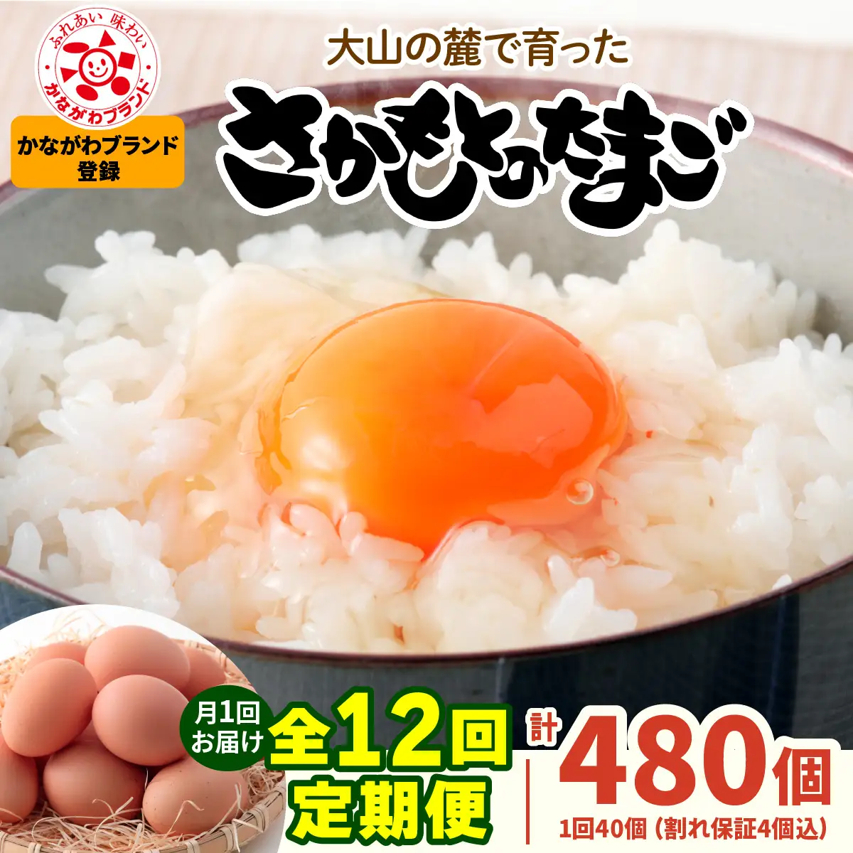 [定期便／12ヶ月×月1回] さかもとのたまご 40個 (36個＋割れ保証4個) 合計480個 [1132]