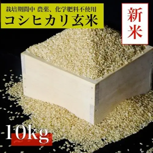 【令和8年産　新米先行予約】コシヒカリ玄米10kg《栽培期間中農薬・化学肥料不使用》徳島県阿南市産【1655401】