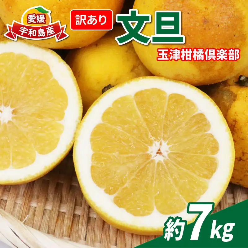 訳あり 文旦 約7kg 玉津柑橘倶楽部 文旦 B010-072046