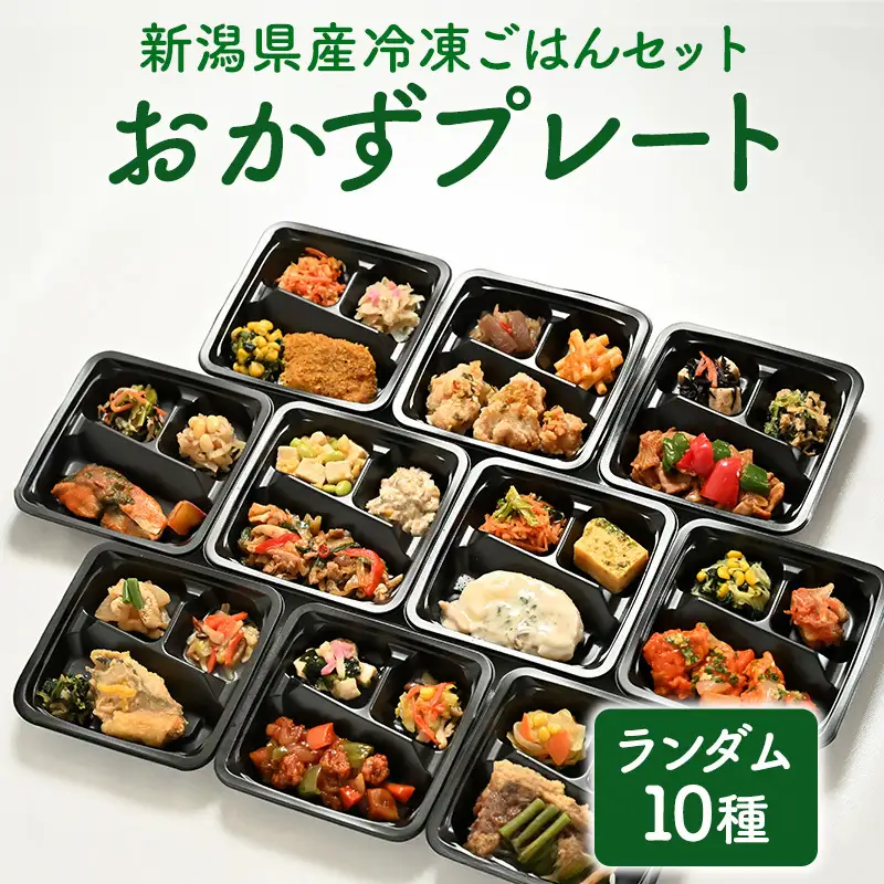 【ランダム10種】いろどりおかずプレート 冷凍ごはんセット 非常食 おかずプレート