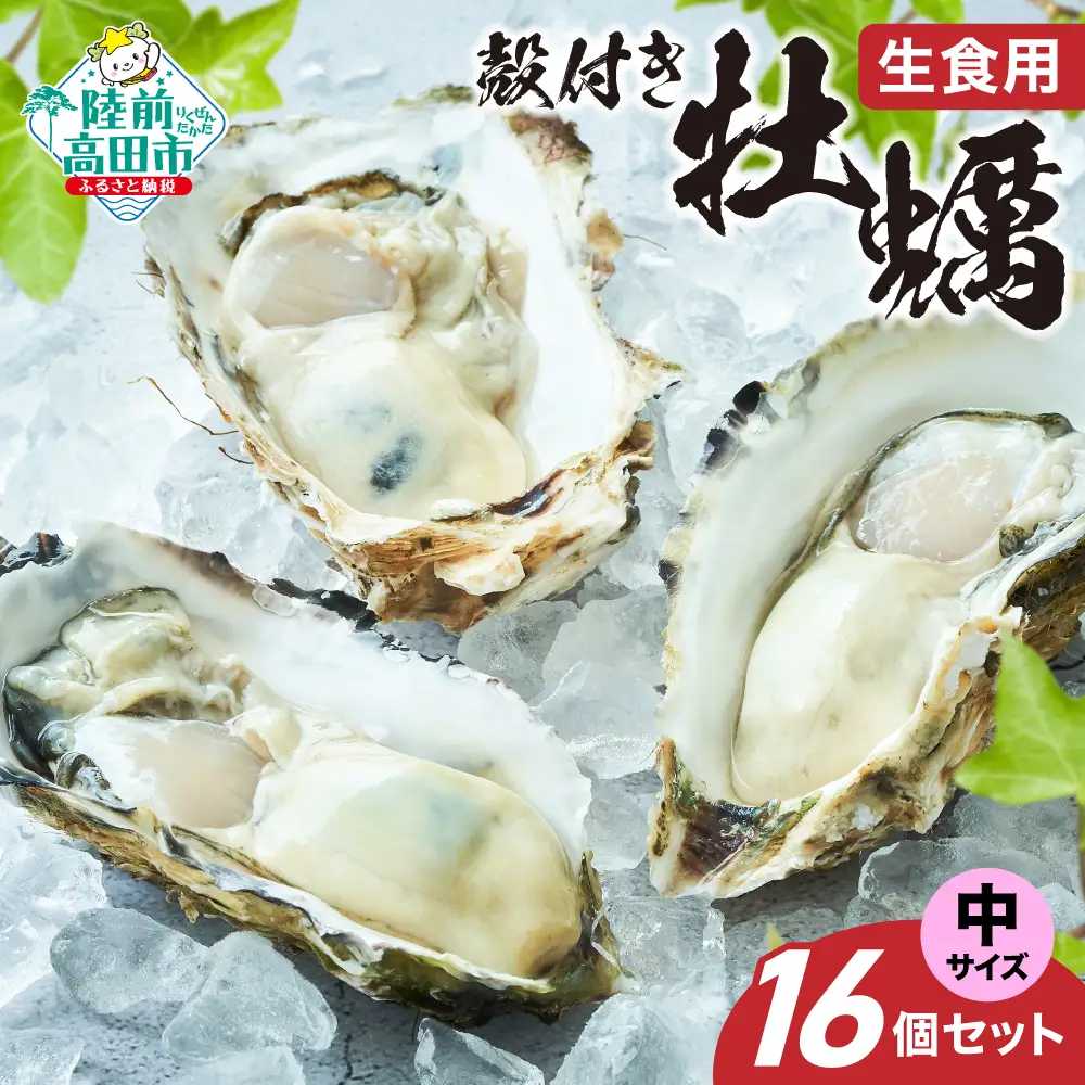 【殻付き生牡蠣】中サイズ16個 冷蔵 生食 牡蠣