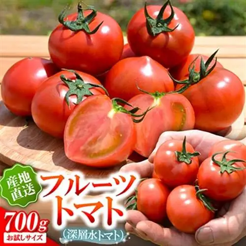 【事前受付】お試しサイズ!フルーツトマト「深層水トマト」約700g【濃厚な甘みと旨み】【配送不可地域：離島】【1650498】