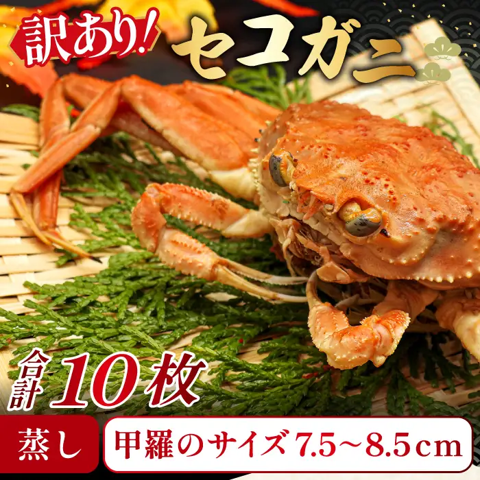 【蒸し】訳あり足折れご自宅用　日本海産親ガニ（セコガ二） 10枚【訳あり かに カニ 親ガニ セコガニ ずわいがに ズワイガニ 冷蔵 チルド ブランド 蒸し ボイル 足折れ 自宅用 国産 季節限定 お取り寄せ 鳥取県 日吉津村 日本海】