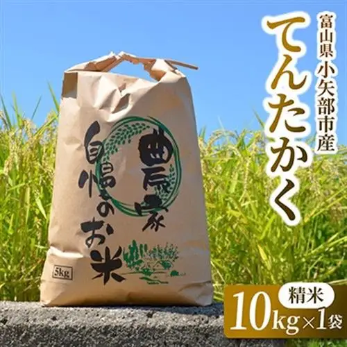 【2026年9月下旬頃から順次発送】令和8年産米「てんたかく」(精米)10kg×1袋【1655823】