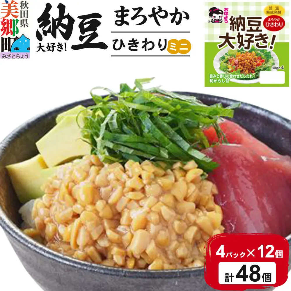 ヤマダフーズ 納豆大好きまろやか ひきわり ミニ 4パック×12個（計48個）