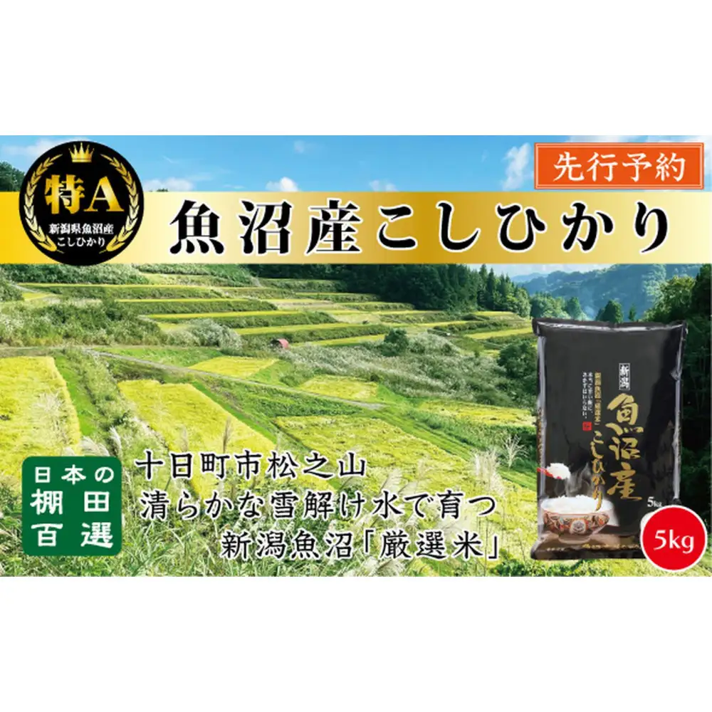 【令和8年産新米予約】【食味鑑定士厳選】　日本の棚田百選　新潟県十日町（魚沼）産　コシヒカリ５kg(5kg×1)