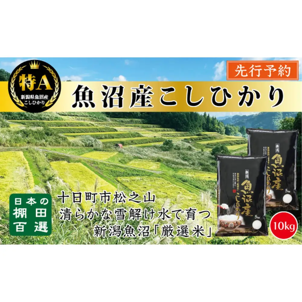 【令和8年産新米予約】【食味鑑定士厳選】　日本の棚田百選　新潟県十日町（魚沼）産　コシヒカリ10kg(5kg×2) 26,000円