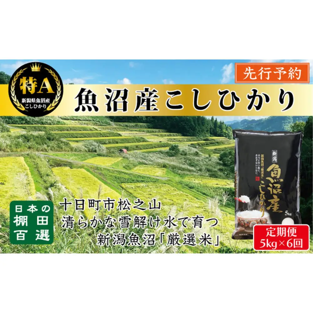 【令和8年産新米予約】【6か月定期便】10月発送開始《食味鑑定士厳選》日本棚田百選・十日町（魚沼）産こしひかり 5kg全6回 66,000円