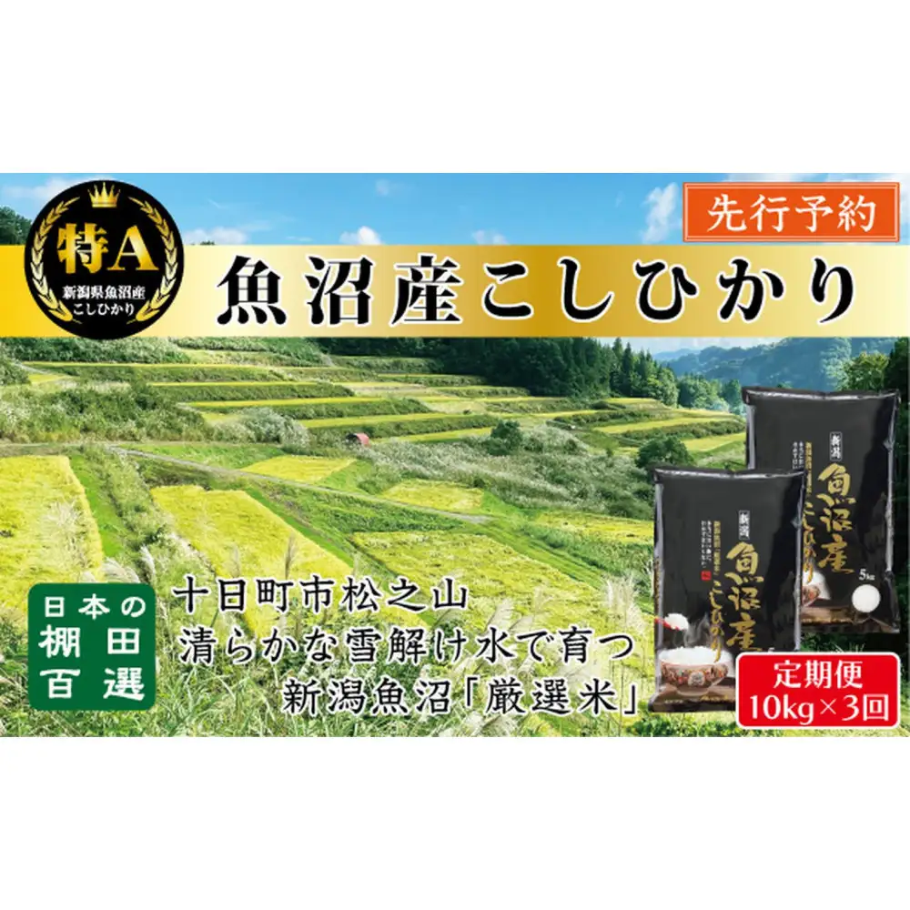 【令和8年産新米予約】【3か月定期便】10月発送開始《食味鑑定士厳選》日本棚田百選・十日町（魚沼）産こしひかり 10kg全3回