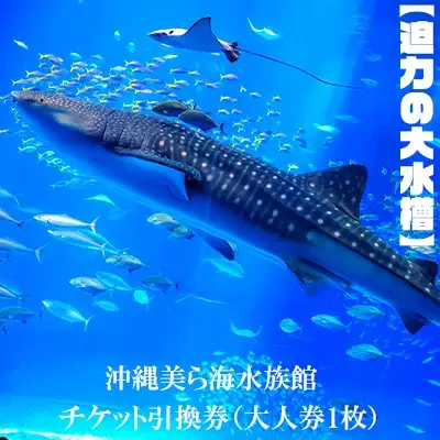 【迫力の大水槽】沖縄美ら海水族館　チケット引換券＜大人券1枚＞ 水族館 