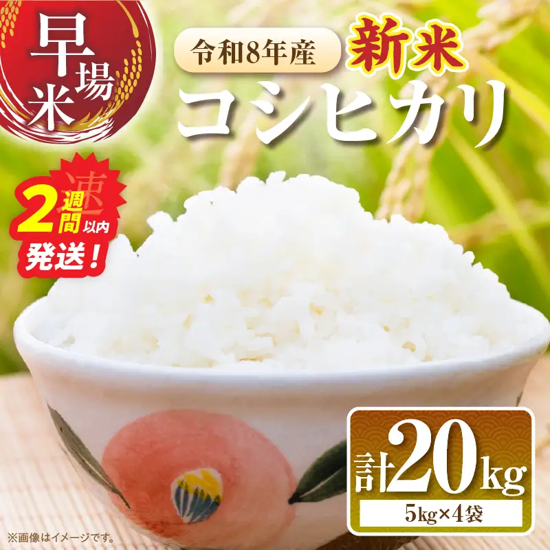 2週間以内に発送 早場米 令和8年産 新米 コシヒカリ 20kg お米 ご飯