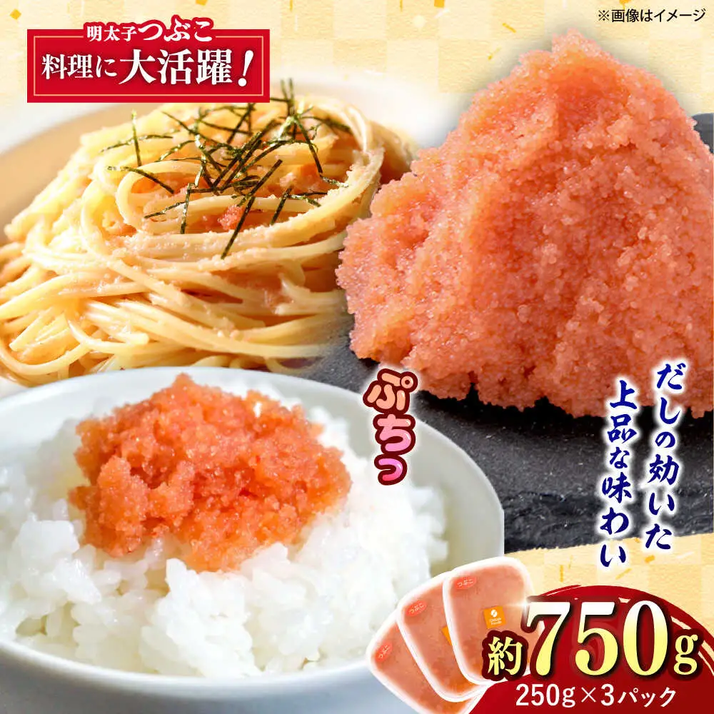 辛子明太子つぶこ 250g×3個[BGBR005] 辛子明太子 小分け