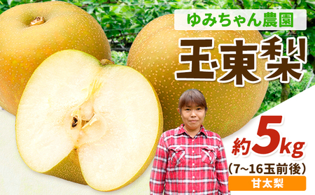 ゆみちゃん農園の玉東梨 甘太梨 約5kg(7～16玉前後)《2026年8月下旬-10月上旬頃出荷》 熊本県玉名郡玉東町 ｜ブランド梨 人気梨 特産品梨 熊本県梨 玉東町梨 大人気返礼品 11,700円