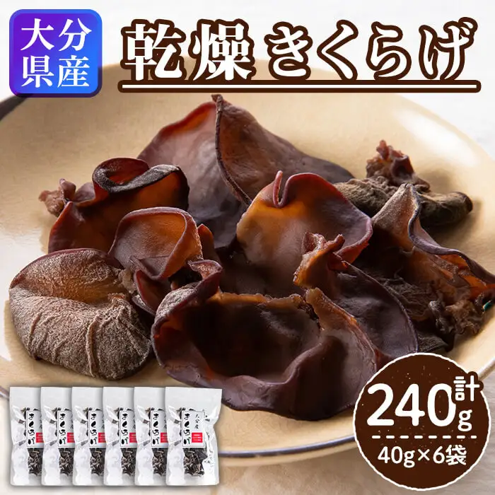 大分県産 きくらげ (計240g・40g×6袋) キクラゲ 木耳 小分け 国産 肉厚 きのこ キノコ 常温 ビタミンD 食物繊維 天ぷら スープ 【opap001】【大分乾物】