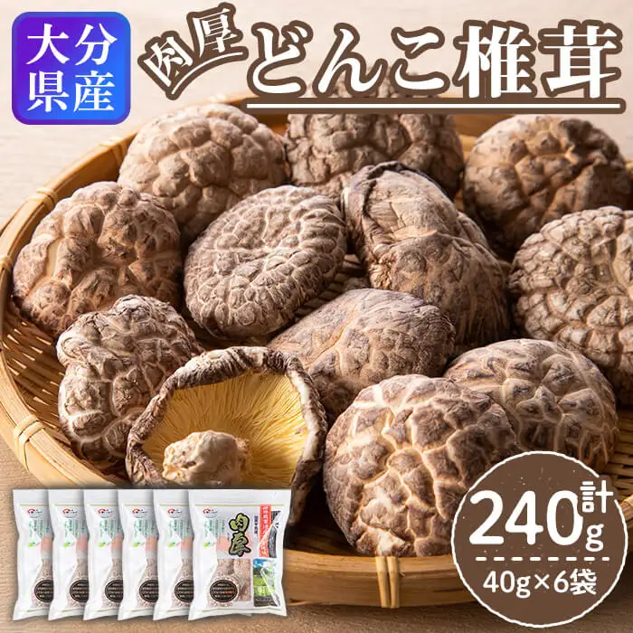 大分県 国東半島産 どんこ椎茸 (計240g・40g×6袋) 椎茸 シイタケ 小分け 肉厚 きのこ キノコ おかず お惣菜 惣菜 常温【opap002】【大分乾物】