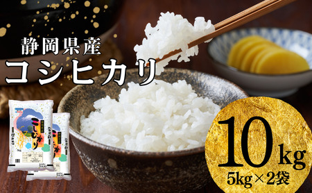 お米 静岡コシヒカリ 5kg×2 白米 コメ 静岡県産 お米