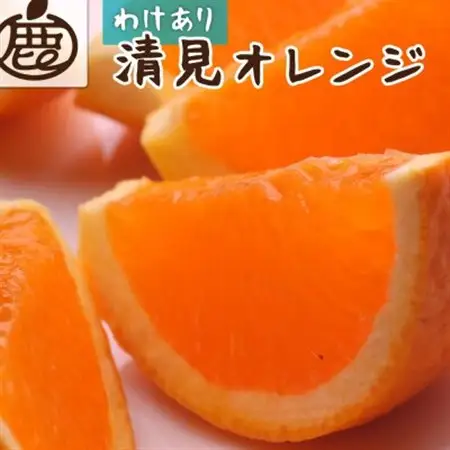 家庭用 清見5kg+250g(傷み補償分)【光センサー選果】【訳あり】【樹上完熟きよみオレンジ】【配送不可地域：離島・北海道・沖縄県】【1649755】