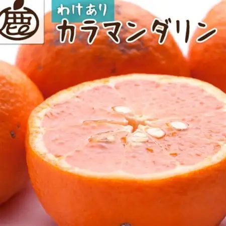 家庭用 カラマンダリン10kg+250g(傷み補償分)【南津海・なつみ】【希少な春柑橘】【訳あり】【配送不可地域：離島・北海道・沖縄県】【1653511】