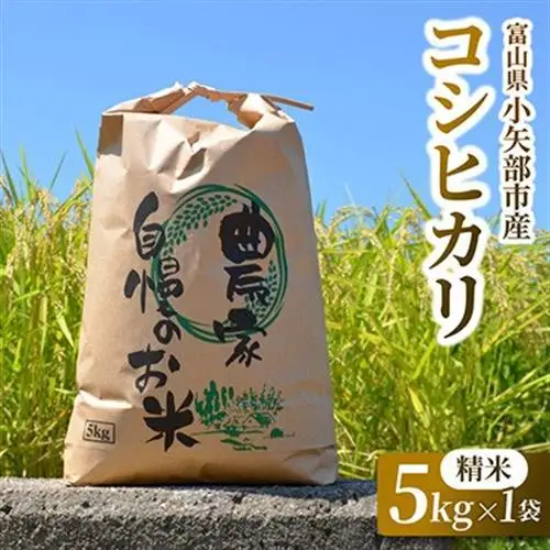 【新米先行受付 2026年10月上旬～順次発送】令和8年富山県産「コシヒカリ」(精米)5kg×1袋【1656079】