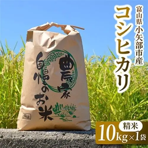 【新米先行受付 2026年10月上旬～順次発送】令和8年富山県産「コシヒカリ」(精米)10kg×1袋【1656083】