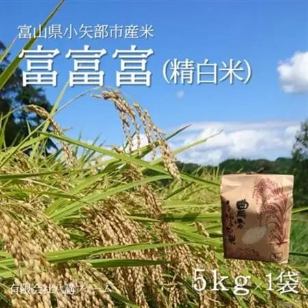 【新米先行受付(2026年10月上旬から順次発送)】令和8年富山県産「富富富」(精米)5kg×1袋【1656120】