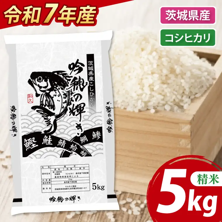 ＜令和７年産＞ コシヒカリ 5kg 精米 こしひかり 米 ごはん コメ お米 白米 国産 茨城県産_AR010