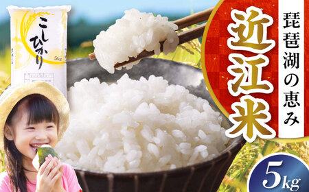 新米 コシヒカリ5kg 白米 [AQDH001] コシヒカリ
