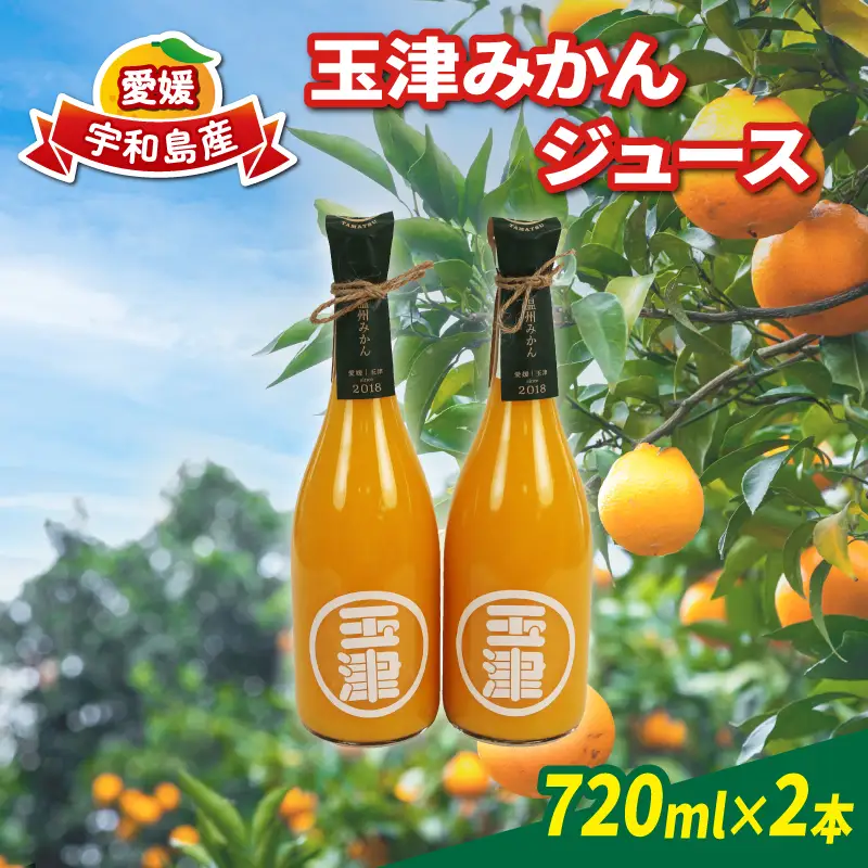 みかんジュース 720ml× 2本 玉津柑橘倶楽部 みかんジュース H010-072049