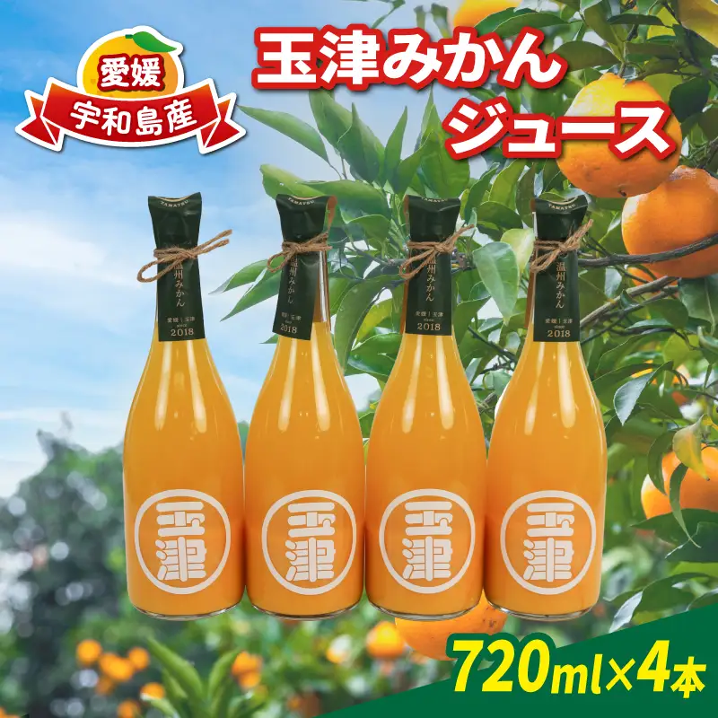 みかんジュース 720ml× 4本 玉津柑橘倶楽部 ジュース H018-072050