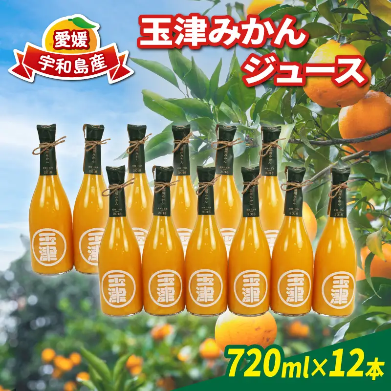 みかんジュース 720ml× 12本 玉津柑橘倶楽部 ジュース H040-072052