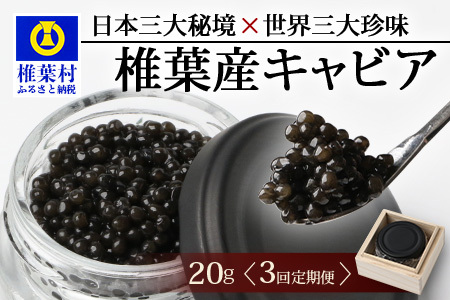 〈3回定期便〉【桐箱入り】キャビア 20g × 3回配送 計60g【世界三大珍味×日本三大秘境】 宮崎 椎葉 国産 チョウザメ キャビア 魚卵 定期便 魚介 珍味 贈答 SZ-103_3teiki