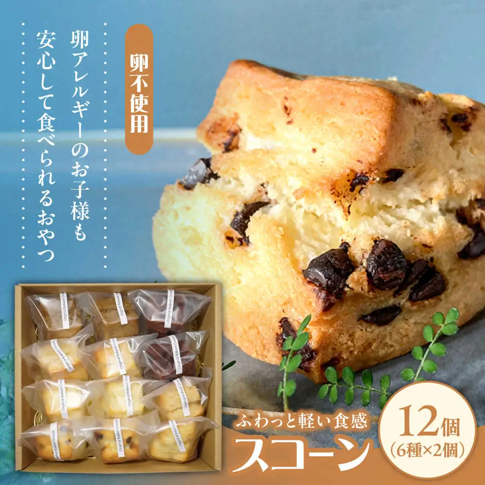 卵不使用スコーン12個セット(6種類×各2個)　日田市 / まるせ　詰め合わせ　卵アレルギー対応 焼き菓子[ARFH002]
