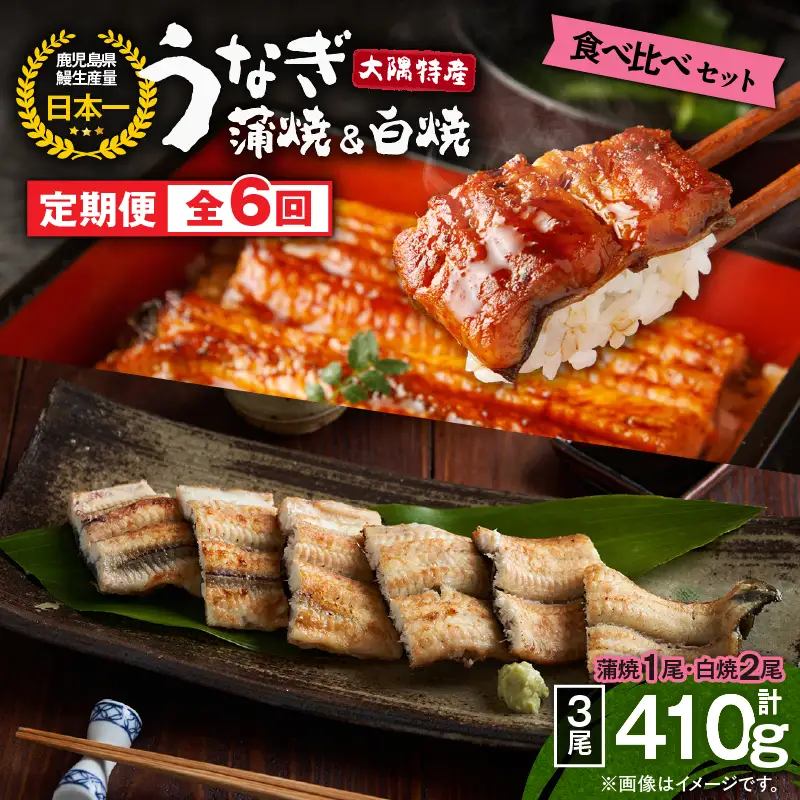 【 定期 6回 】大隅特産 うなぎ蒲焼  1尾（170g）・ 白焼 2尾（240g）食べ比べセット KN060-T18 魚 冷凍 鰻