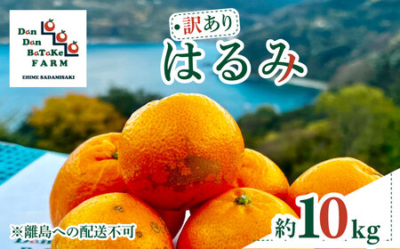 【先行予約】【訳あり】はるみ 約10kg | 柑橘 みかん 果物 フルーツ 愛媛県産 農家直送 　※離島への配送不可　※2027年1月下旬から順次発送予定 IKTAU005
