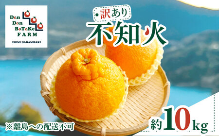 【先行予約】【訳あり】不知火 約10kg | 柑橘 みかん 果物 フルーツ 愛媛県産 農家直送　※離島への配送不可　※2027年2月下旬より順次発送予定  IKTAU009