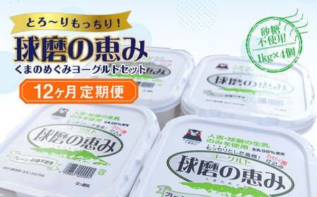 【12ヶ月定期便】球磨の恵みヨーグルトセット（砂糖不使用1kg×4個）計48kg