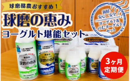 【3ヶ月定期便】球磨の恵みヨーグルト堪能セット