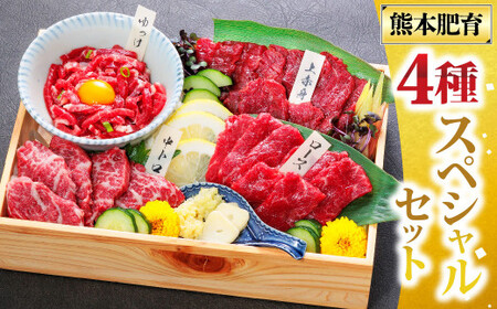 国産 馬刺し 4種スペシャルセット 計約200g 馬肉 お肉 肉 上赤身 霜降り 中トロ ロース ユッケ タレ 醤油 セット 食べ比べ 冷凍 熊本県 湯前町