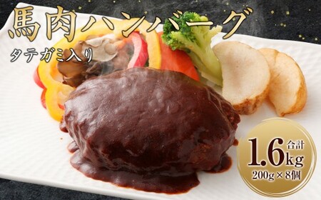 FNタテガミ入り 馬肉ハンバーグ (デミソース) 8個 セット 馬肉 お肉 惣菜 ハンバーグ タテガミ コウネ ソース付
