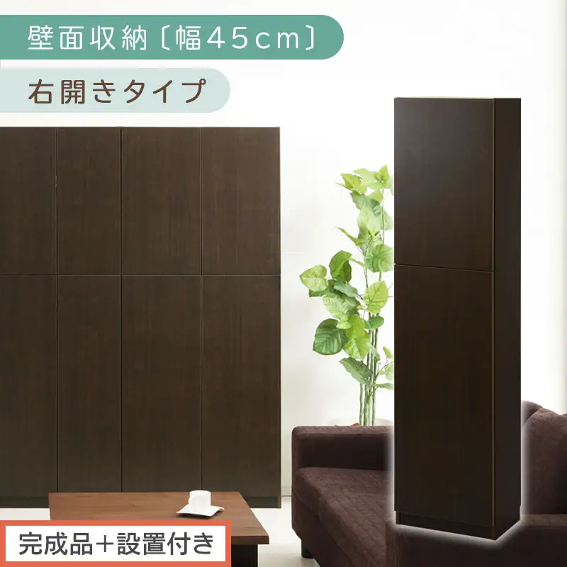 【完成品＋設置付き】壁面収納〔幅45cm・本体・右開きタイプ〕（ダークブラウン）壁面収納 本棚 扉付き 収納 棚 cdラック dvdラック 収納棚 リビング オフィス 扉付き収納 整理棚 書棚 おしゃれ LKONCB642255-R-DBR