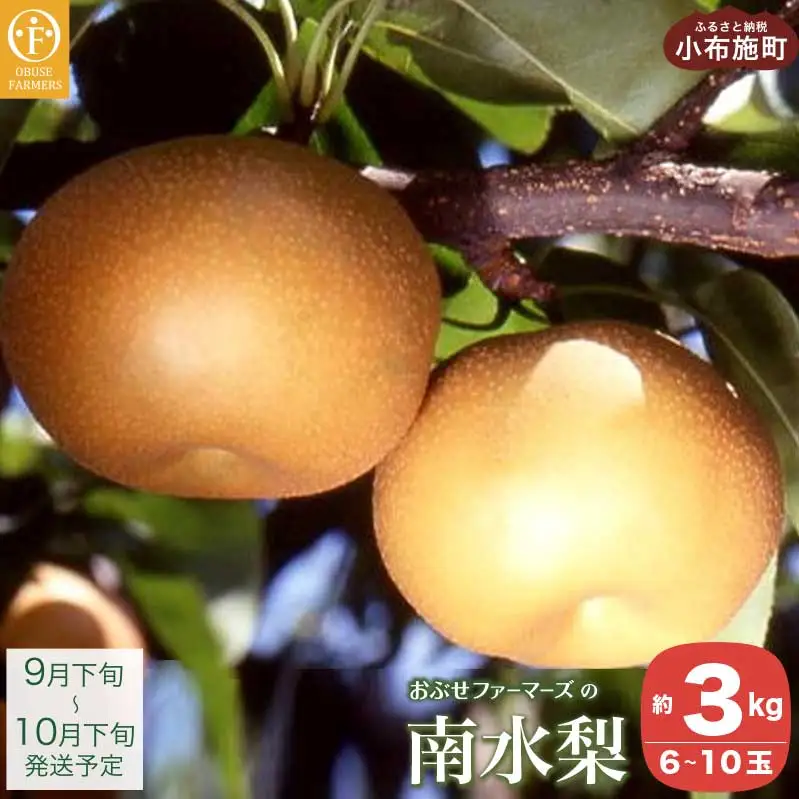 南水 秀品 約3kg 6～10玉 [おぶせファーマーズ]   令和8年産 【2026年9月下旬～10月下旬発送】［F-31］